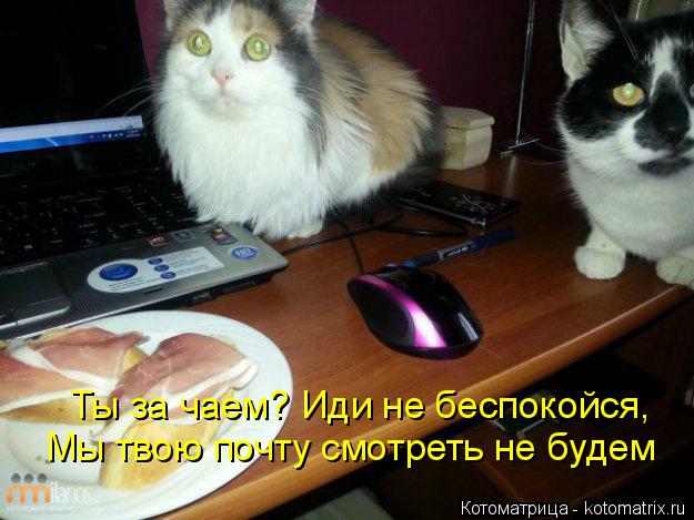 Ты за чаем? Иди не беспокойся, Мы твою почту смотреть не будем... Котоматрица: Ты за чаем? Иди не беспокойся, Мы твою почту смотреть не будем