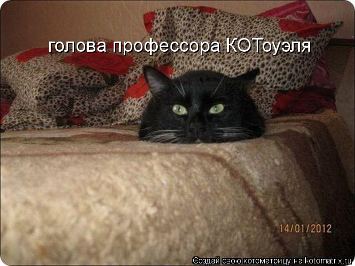 Котоматрица: голова профессора КОТоуэля