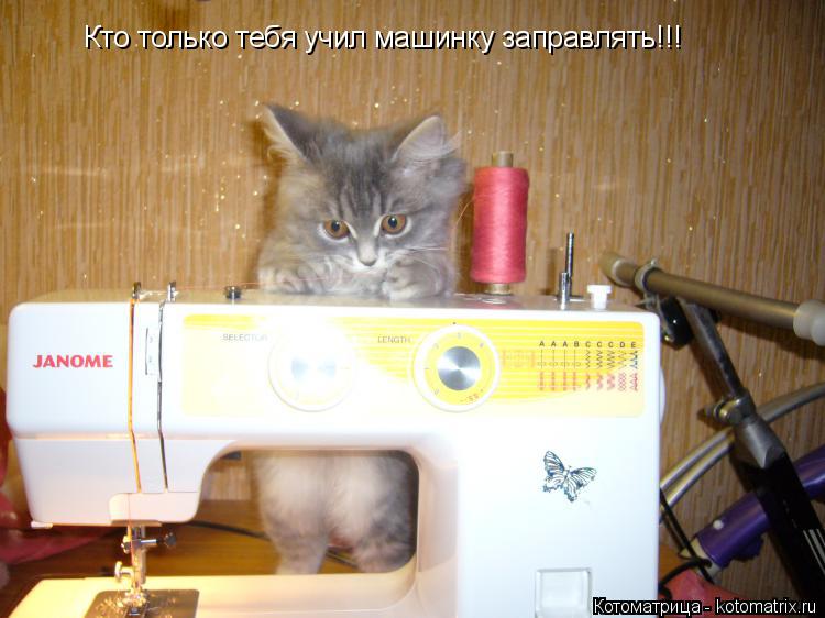 Кто только тебя учил машинку заправлять!!!... Котоматрица: Кто только тебя учил машинку заправлять!!!