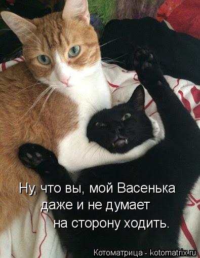 Ну, что вы, мой Васенька даже и не думает на сторону ходить.... Котоматрица: Ну, что вы, мой Васенька даже и не думает на сторону ходить.