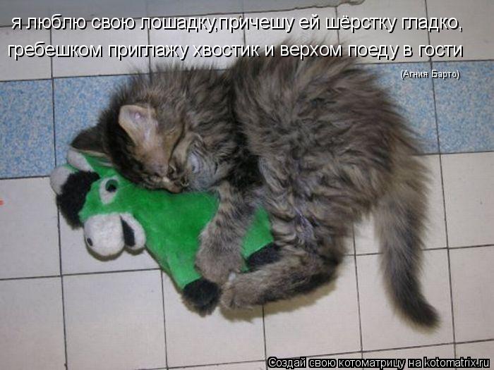 я люблю свою лошадку,причешу ей шёрстку гладко, гребешком приглажу хвостик и верхом поеду в гости (Аг... Котоматрица: я люблю свою лошадку,причешу ей шёрстку гладко, гребешком приглажу хвостик и верхом поеду в гости (Агния Барто)