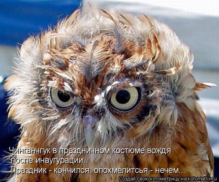 Чинганчгук в праздничном костюме вождя после инаугурации.. Праздник - кончился, опохмелитсья - нечем.... Котоматрица: Чинганчгук в праздничном костюме вождя после инаугурации.. Праздник - кончился, опохмелитсья - нечем...
