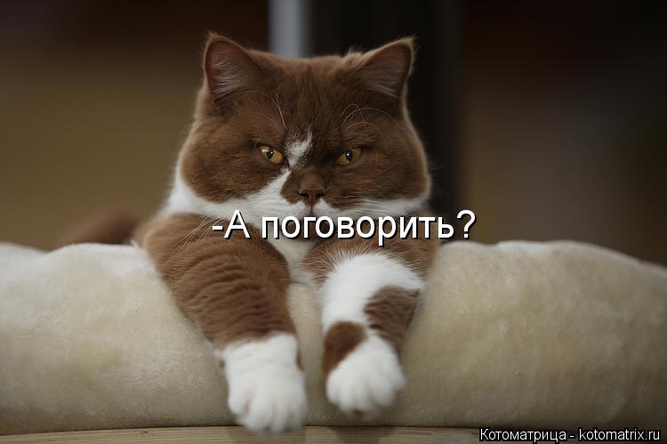 -А поговорить?... Котоматрица: -А поговорить?