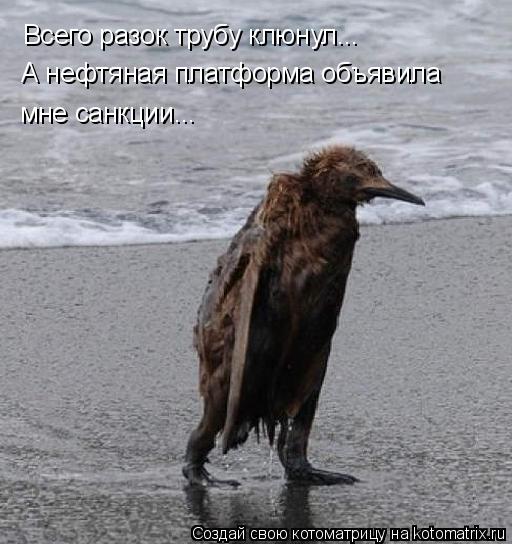 Всего разок трубу клюнул... А нефтяная платформа объявила мне санкции...... Котоматрица: Всего разок трубу клюнул... А нефтяная платформа объявила мне санкции...