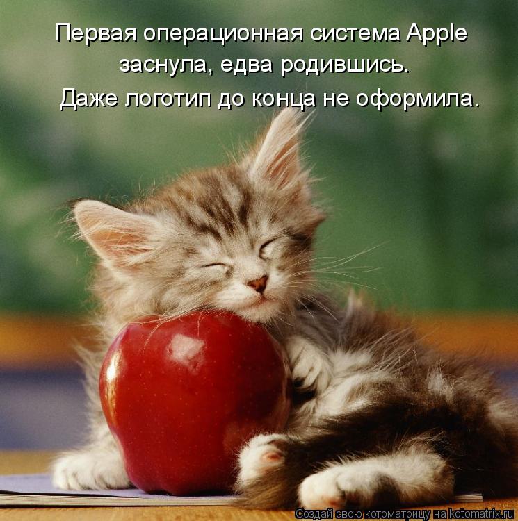Первая операционная система Apple заснула, едва родившись. Даже логотип до конца не оформила.... Котоматрица: Первая операционная система Apple заснула, едва родившись. Даже логотип до конца не оформила.