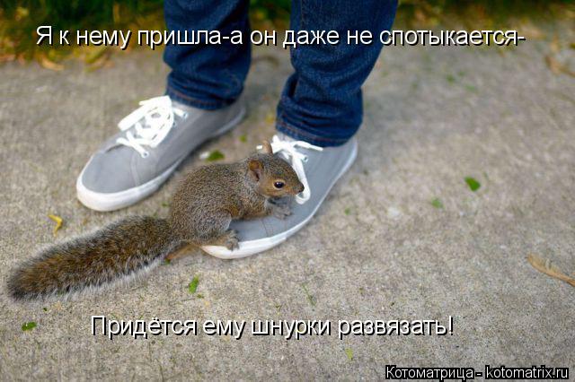 Котоматрица: Я к нему пришла-а он даже не спотыкается- Придётся ему шнурки развязать!