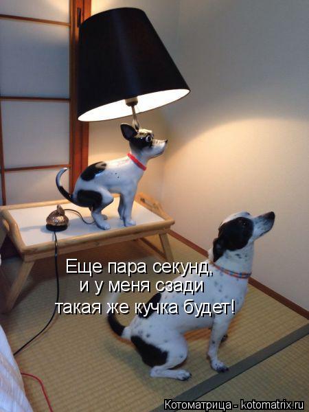 Еще пара секунд, и у меня сзади такая же кучка будет!... Котоматрица: Еще пара секунд, и у меня сзади такая же кучка будет!