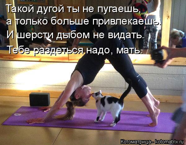Такой дугой ты не пугаешь, а только больше привлекаешь. И шерсти дыбом не видать. Тебе раздеться надо... Котоматрица: Такой дугой ты не пугаешь, а только больше привлекаешь. И шерсти дыбом не видать. Тебе раздеться надо, мать.