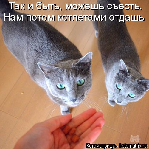 Так и быть, можешь съесть. Нам потом котлетами отдашь... Котоматрица: Так и быть, можешь съесть. Нам потом котлетами отдашь