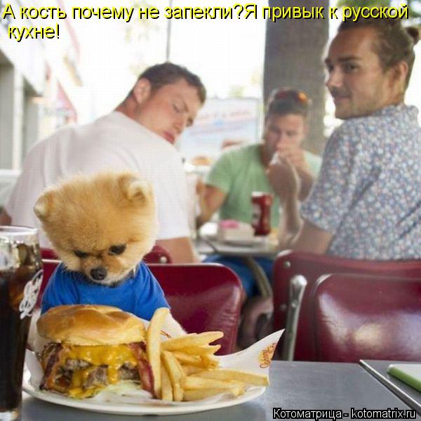 А кость почему не запекли?Я привык к русской ку кухне!... Котоматрица: А кость почему не запекли?Я привык к русской ку кухне!