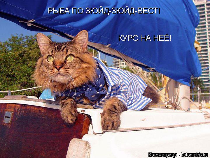 Котоматрица: РЫБА ПО ЗЮЙД-ЗЮЙД-ВЕСТ! КУРС НА НЕЁ!