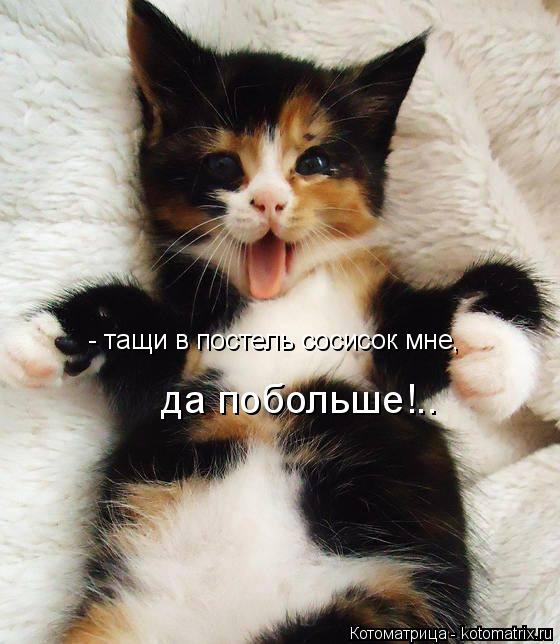 - тащи в постель сосисок мне, да побольше!..... Котоматрица: - тащи в постель сосисок мне, да побольше!..