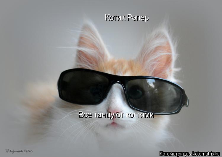 Котик Рэпер Все танцуют когтями Все танцуют когтями... Котоматрица: Котик Рэпер Все танцуют когтями Все танцуют когтями