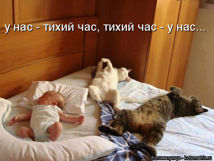 у нас - тихий час, тихий час - у нас...... Котоматрица: у нас - тихий час, тихий час - у нас...