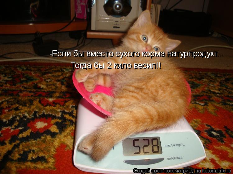 -Если бы вместо сухого корма натурпродукт... Тогда бы 2 кило весил!!... Котоматрица: -Если бы вместо сухого корма натурпродукт... Тогда бы 2 кило весил!!