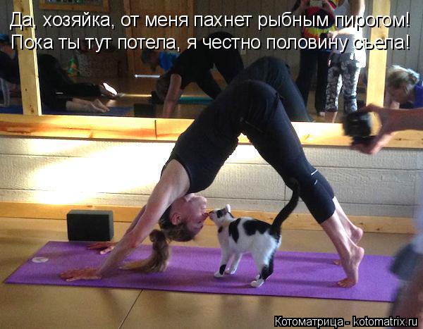 Да, хозяйка, от меня пахнет рыбным пирогом! Пока ты тут потела, я честно половину съела!... Котоматрица: Да, хозяйка, от меня пахнет рыбным пирогом! Пока ты тут потела, я честно половину съела!