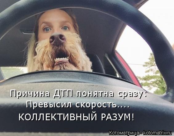Причина ДТП понятна сразу: Превысил скорость.... КОЛЛЕКТИВНЫЙ РАЗУМ!... Котоматрица: Причина ДТП понятна сразу: Превысил скорость.... КОЛЛЕКТИВНЫЙ РАЗУМ!