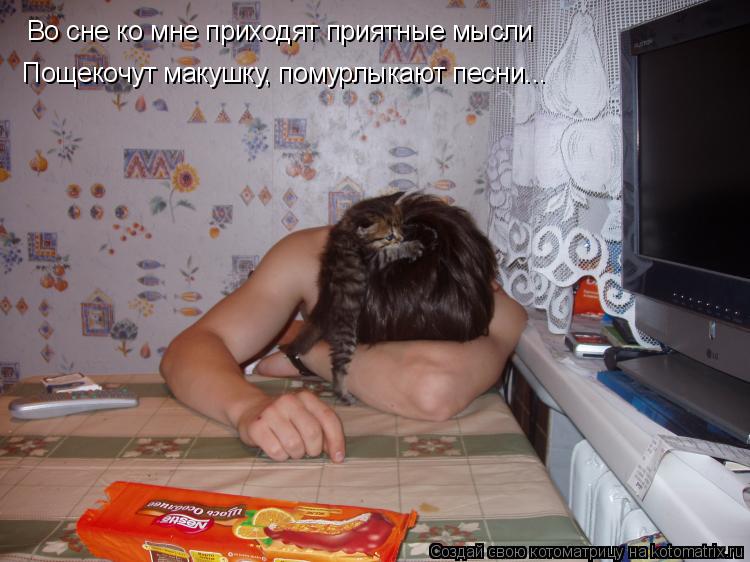 Во сне ко мне приходят приятные мысли Пощекочут макушку, помурлыкают песни...... Котоматрица: Во сне ко мне приходят приятные мысли Пощекочут макушку, помурлыкают песни...