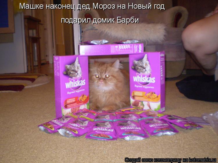 Машке наконец дед Мороз на Новый год подарил домик Барби... Котоматрица: Машке наконец дед Мороз на Новый год подарил домик Барби