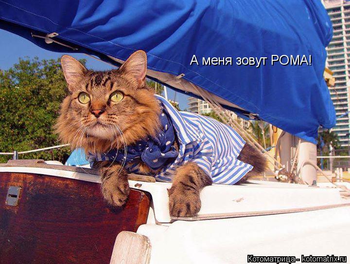 А меня зовут РОМА!... Котоматрица: А меня зовут РОМА!