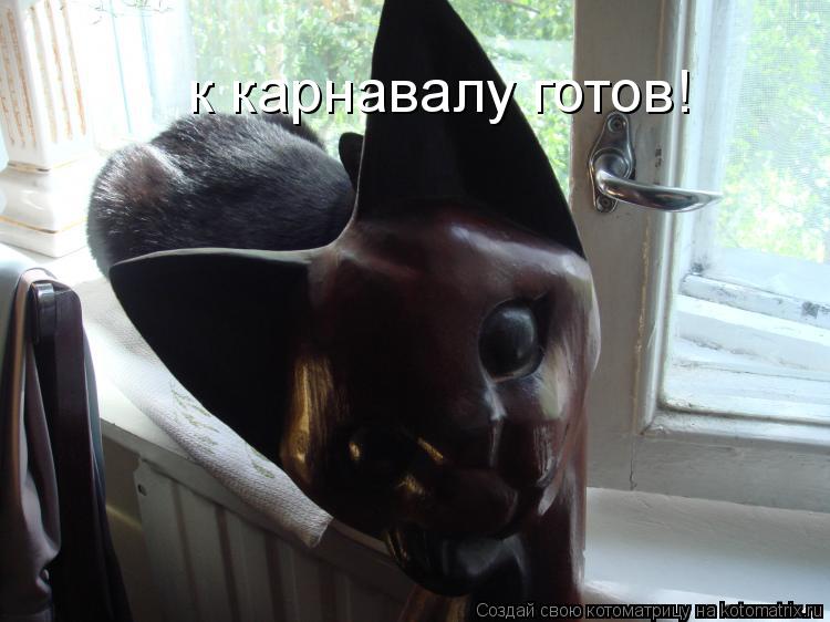 к карнавалу готов!... Котоматрица: к карнавалу готов!