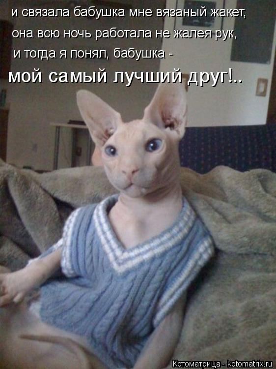 и связала бабушка мне вязаный жакет, она всю ночь работала не жалея рук, и тогда я понял, бабушка - ... Котоматрица: и связала бабушка мне вязаный жакет, она всю ночь работала не жалея рук, и тогда я понял, бабушка - мой самый лучший друг!..