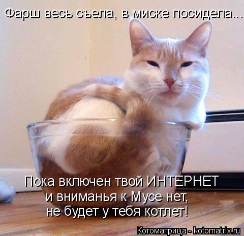 Фарш весь съела, в миске посидела... Пока включен твой ИНТЕРНЕТ и вниманья к Мусе нет, не будет у теб... Котоматрица: Фарш весь съела, в миске посидела... Пока включен твой ИНТЕРНЕТ и вниманья к Мусе нет, не будет у тебя котлет!