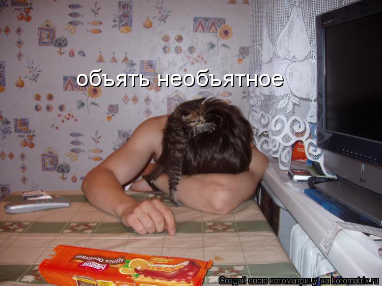 объять необъятное объять необъятное... Котоматрица: объять необъятное объять необъятное