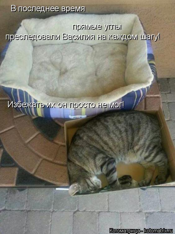 В последнее время прямые углы преследовали Василия на каждом шагу! Избежать их он просто не мог!... Котоматрица: В последнее время прямые углы преследовали Василия на каждом шагу! Избежать их он просто не мог!