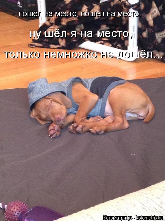 пошёл на место, пошёл на место, ну шёл я на место, только немножко не дошёл...... Котоматрица: пошёл на место, пошёл на место, ну шёл я на место, только немножко не дошёл...