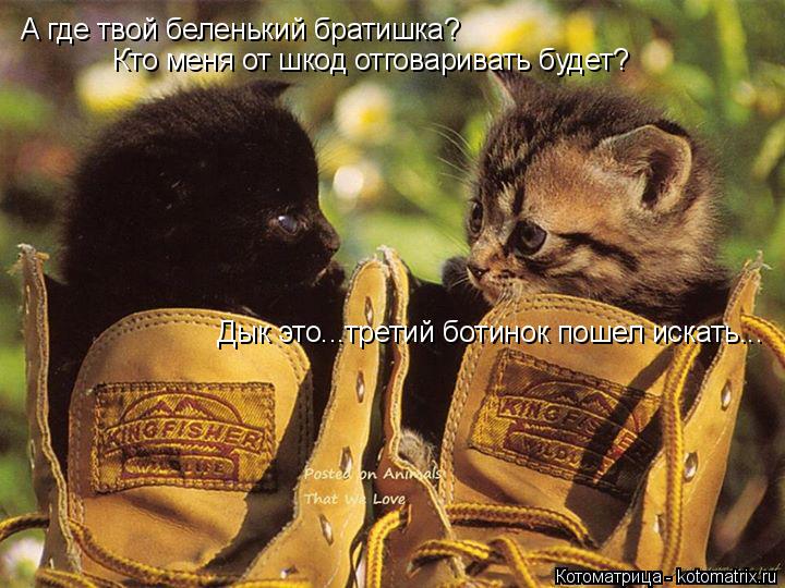 А где твой беленький братишка? Кто меня от шкод отговаривать будет? Дык это...третий ботинок пошел ... Котоматрица: А где твой беленький братишка? Кто меня от шкод отговаривать будет? Дык это...третий ботинок пошел искать...