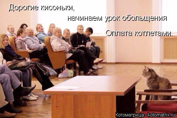 Дорогие кисоньки, начинаем урок обольщения Оплата котлетами.... Котоматрица: Дорогие кисоньки, начинаем урок обольщения Оплата котлетами.