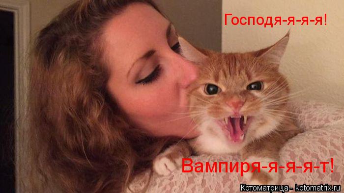 Господя-я-я-я! Вампиря-я-я-я-т!... Котоматрица: Господя-я-я-я! Вампиря-я-я-я-т!