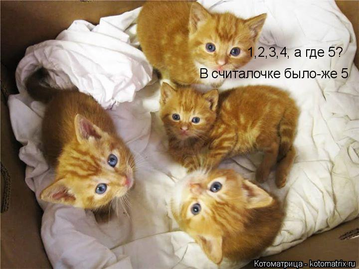 1,2,3,4, а где 5? В считалочке было-же 5... Котоматрица: 1,2,3,4, а где 5? В считалочке было-же 5
