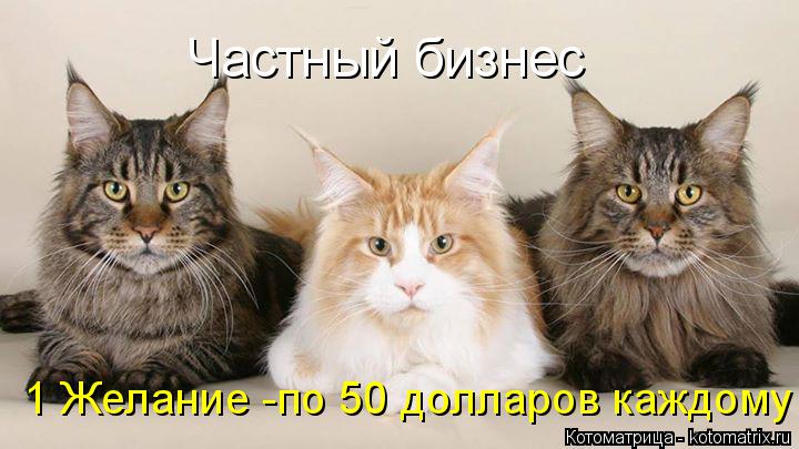 Частный бизнес 1 Желание -по 50 долларов каждому... Котоматрица: Частный бизнес 1 Желание -по 50 долларов каждому