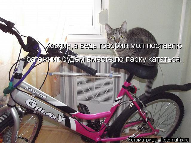 Хозяин,а ведь говорил,мол поставлю багажник.будем вместе по парку кататься..... Котоматрица: Хозяин,а ведь говорил,мол поставлю багажник.будем вместе по парку кататься..