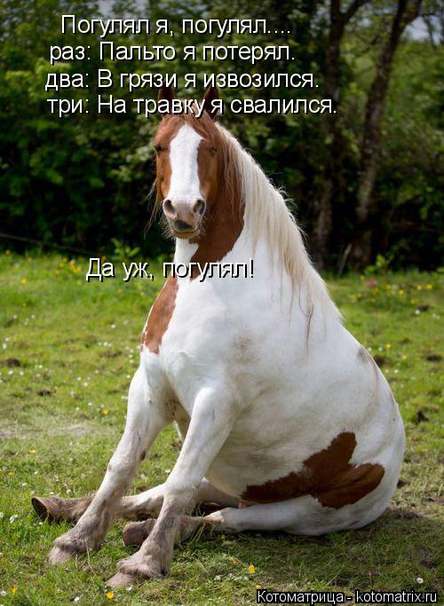 Погулял я, погулял.... раз: Пальто я потерял. два: В грязи я извозился. три: На травку я свалился. Да... Котоматрица: Погулял я, погулял.... раз: Пальто я потерял. два: В грязи я извозился. три: На травку я свалился. Да уж, погулял!