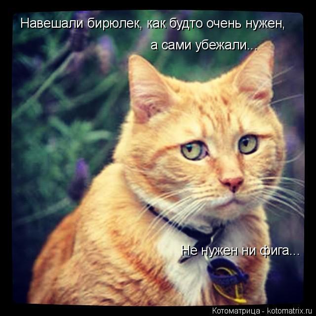 а сами убежали... Навешали бирюлек, как будто очень нужен, Не нужен ни фига...... Котоматрица: а сами убежали... Навешали бирюлек, как будто очень нужен, Не нужен ни фига...