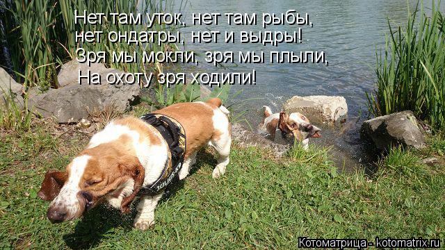Нет там уток, нет там рыбы, нет ондатры, нет и выдры! Зря мы мокли, зря мы плыли, На охоту зря ходил... Котоматрица: Нет там уток, нет там рыбы, нет ондатры, нет и выдры! Зря мы мокли, зря мы плыли, На охоту зря ходили!