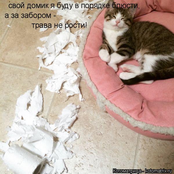 свой домик я буду в порядке блюсти, а за забором - трава не рости!... Котоматрица: свой домик я буду в порядке блюсти, а за забором - трава не рости!