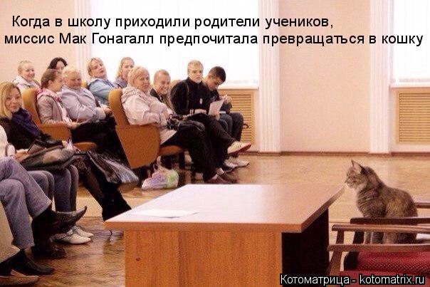 Когда в школу приходили родители учеников, миссис Мак Гонагалл предпочитала превращаться в кошку... Котоматрица: Когда в школу приходили родители учеников, миссис Мак Гонагалл предпочитала превращаться в кошку