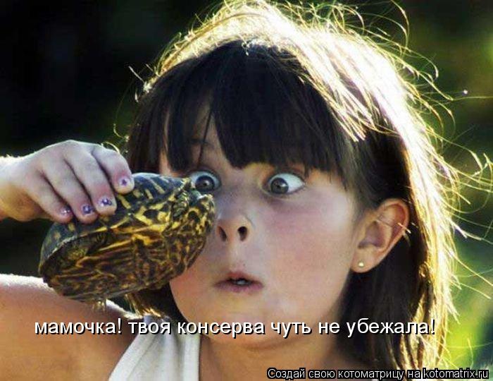 мамочка! твоя консерва чуть не убежала!... Котоматрица: мамочка! твоя консерва чуть не убежала!