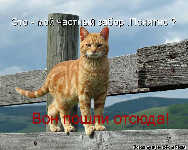 Это - мой частный забор .Понятно ? Вон пошли отсюда!... Котоматрица: Это - мой частный забор .Понятно ? Вон пошли отсюда!