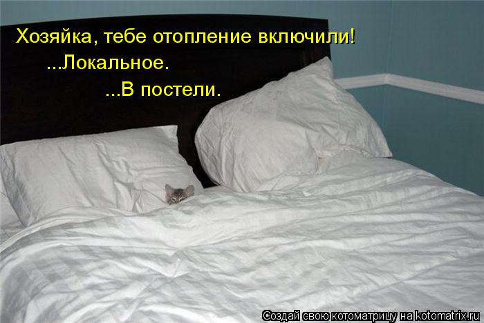 Хозяйка, тебе отопление включили! ...Локальное. ...В постели.... Котоматрица: Хозяйка, тебе отопление включили! ...Локальное. ...В постели.