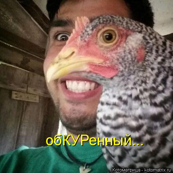 обКУРенный...... Котоматрица: обКУРенный...
