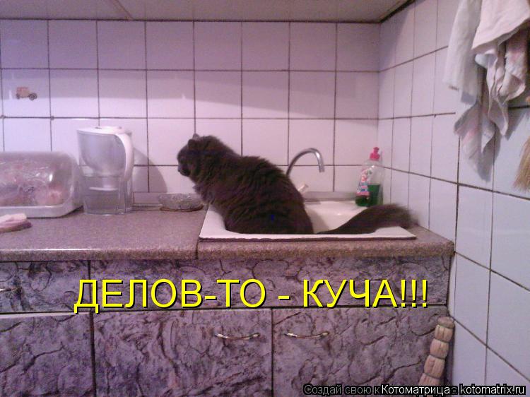 ДЕЛОВ-ТО - КУЧА!!!... Котоматрица: ДЕЛОВ-ТО - КУЧА!!!