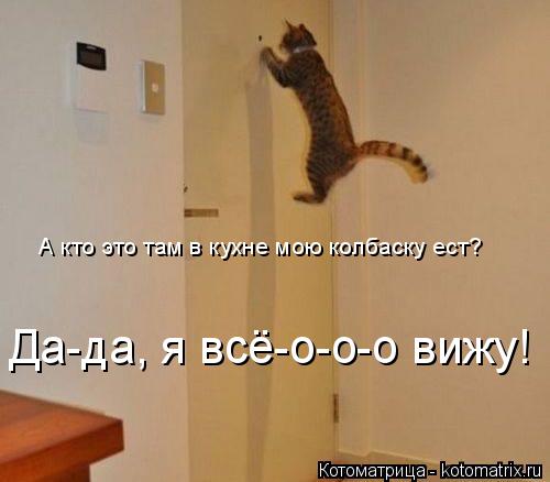 А кто это там в кухне мою колбаску ест? Да-да, я всё-о-о-о вижу!... Котоматрица: А кто это там в кухне мою колбаску ест? Да-да, я всё-о-о-о вижу!