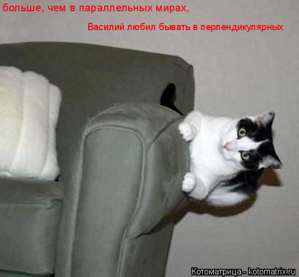 больше, чем в параллельных мирах, Василий любил бывать в перпендикулярных... Котоматрица: больше, чем в параллельных мирах, Василий любил бывать в перпендикулярных