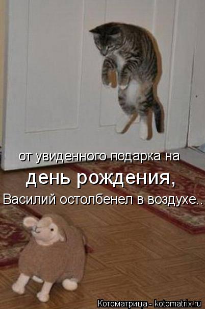 от увиденного подарка на день рождения, Василий остолбенел в воздухе..... Котоматрица: от увиденного подарка на день рождения, Василий остолбенел в воздухе..
