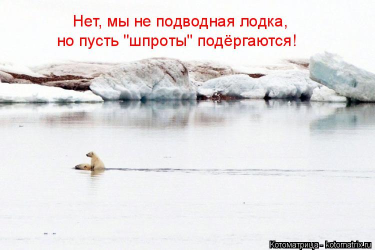 Нет, мы не подводная лодка, но пусть "шпроты" подёргаются!... Котоматрица: Нет, мы не подводная лодка, но пусть "шпроты" подёргаются!